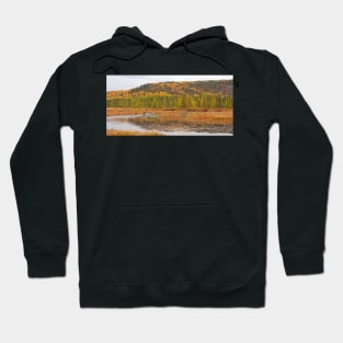 Algonquin Park - Costello Creek Hoodie